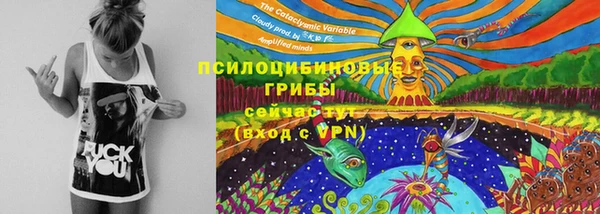 СК Медногорск