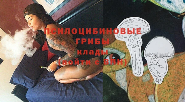 СК Медногорск