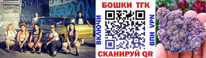 Каннабис семена  нарко площадка официальный сайт  Ставрополь 